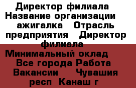 Директор филиала › Название организации ­ Zажигалка › Отрасль предприятия ­ Директор филиала › Минимальный оклад ­ 1 - Все города Работа » Вакансии   . Чувашия респ.,Канаш г.